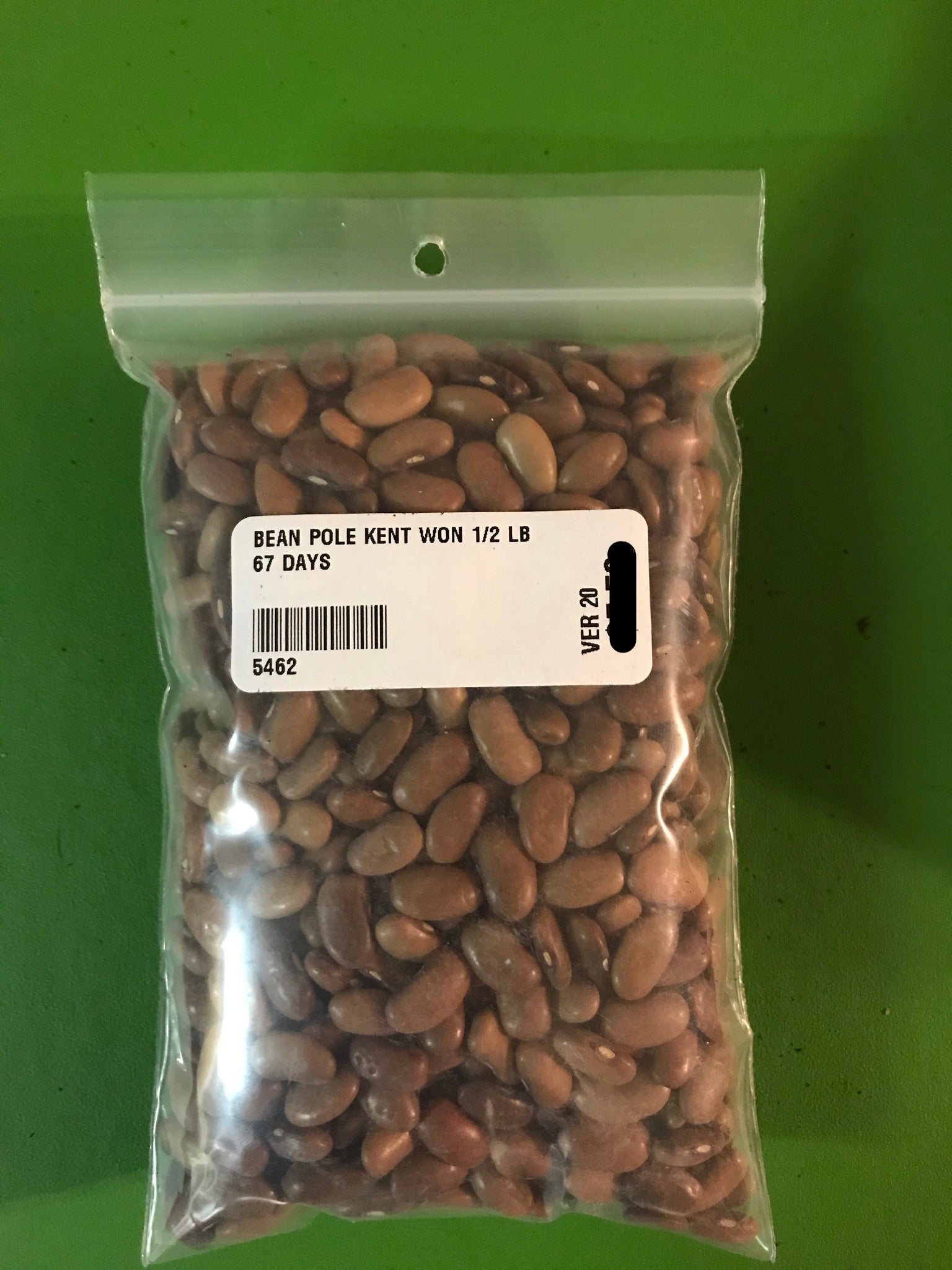 Kentucky Wonder Green Pole Bean Seeds (67 Days) - 1/2 lb - Bulk