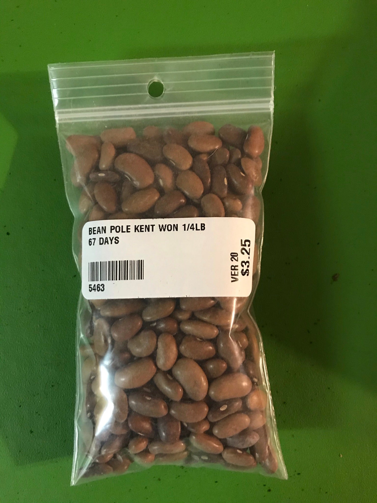 Kentucky Wonder Green Pole Bean Seeds (67 Days) -  1/4 lb - Bulk
