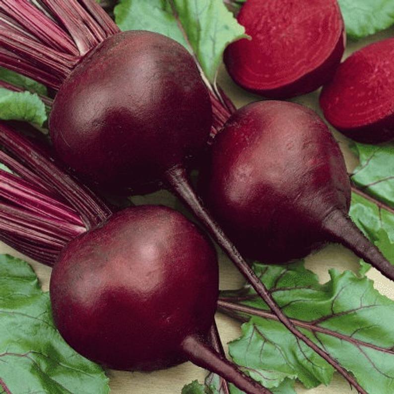 Detroit Dark Red Beet Seeds (63 days)  1/8 cup - Bulk