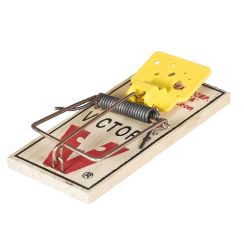 Victor Snap Trap For Mice - 2 Pk