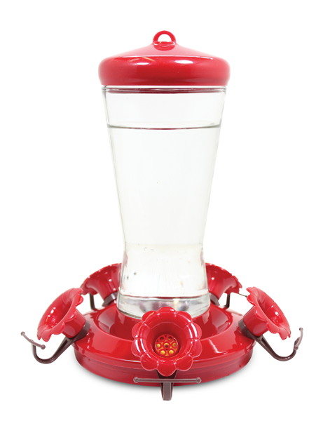 Pinebush Glass Hummingbird Feeder - 29oz