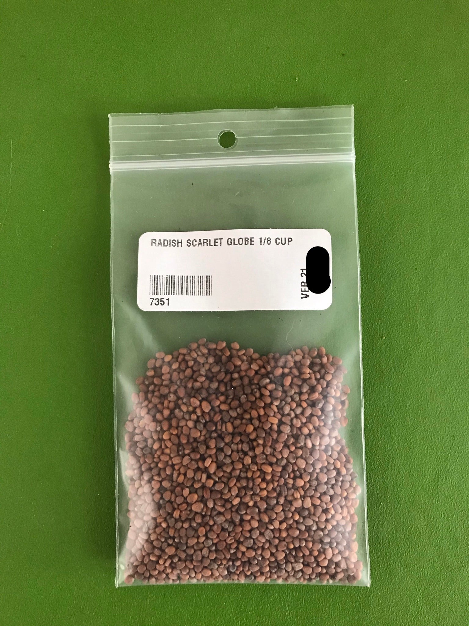 Scarlet Globe Radish Seeds (Summer Type) (24 days) - 1/8 Cup - Bulk