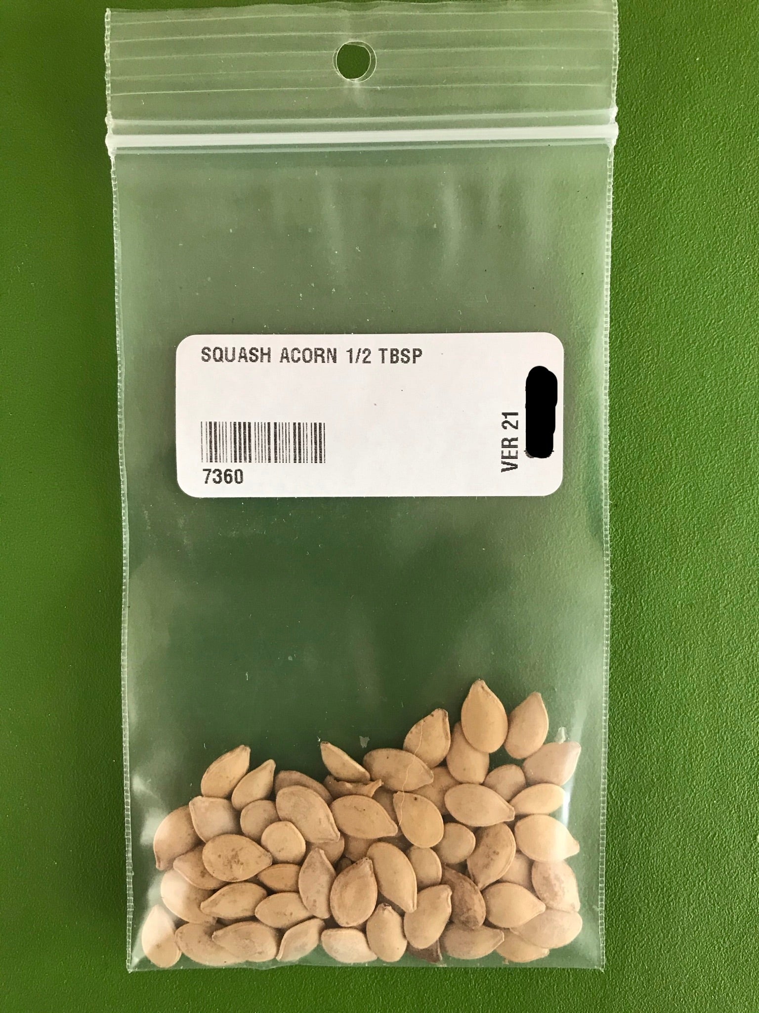 Table Queen Squash Seeds (Winter Type)  (80 days) -1/2 Tbsp - Bulk