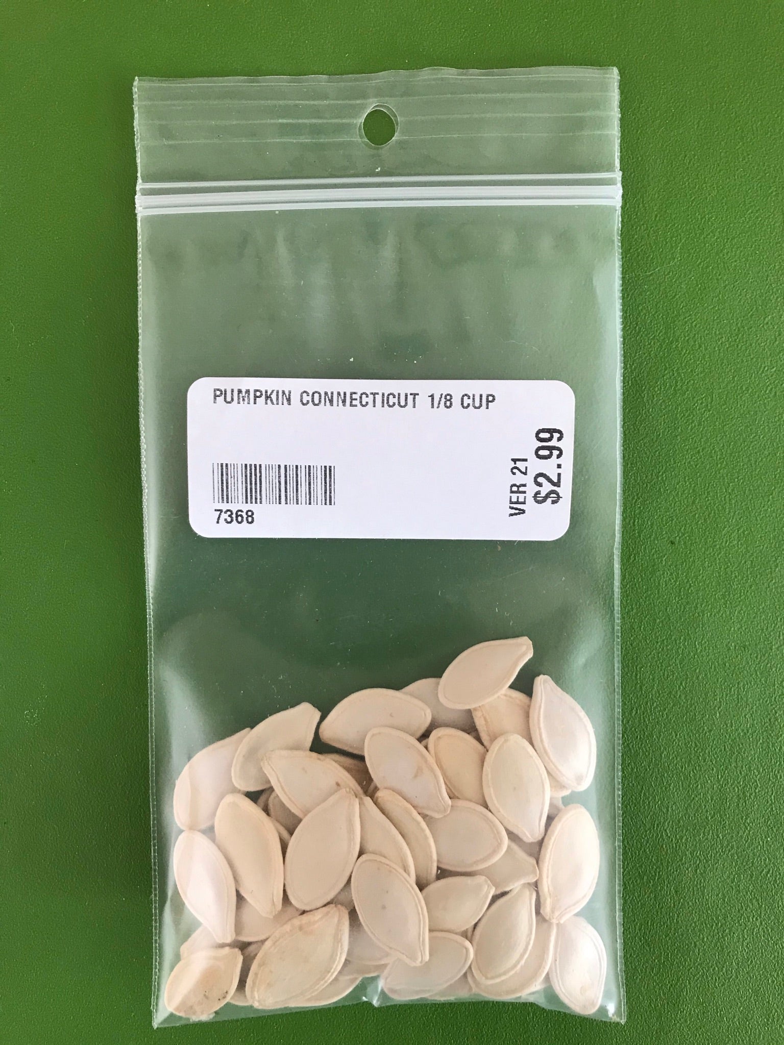 Connecticut Field Pumpkin Seeds (Processing Type) (120 days) - 1/8 Cup - Bulk