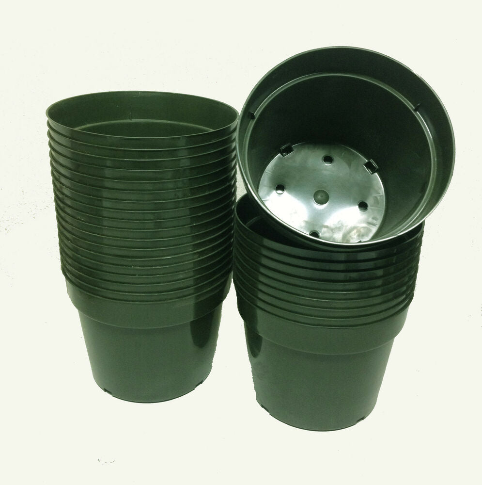 6" Standard Plastic Nursery Pot - Green