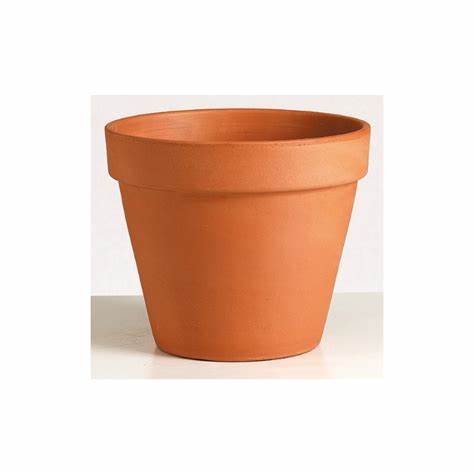6" Terra Cotta Clay Flower Pot