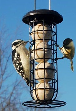 Wildlife Sciences Mesh Suet Ball Bird Feeder