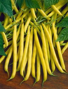 OSC Golden Butterwax Yellow Bush Bean Seeds (Aimers International) - Packet