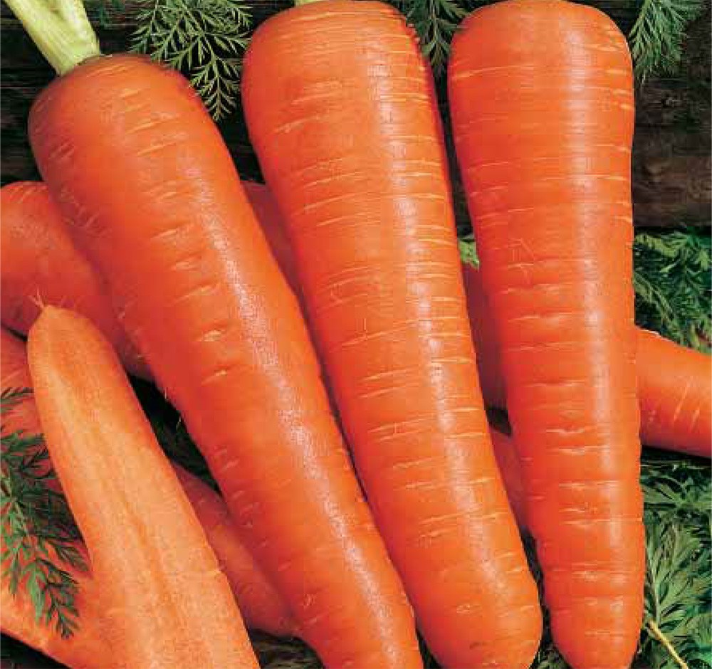 OSC Kuroda Carrot Seeds (Aimers International) - Packet