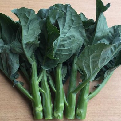 OSC Blue Jade Hybrid Chinese Broccoli Seeds (Aimers International) - Packet
