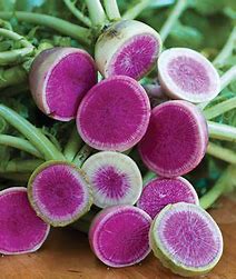 OSC Watermelon Radish Seeds (Aimers International) - Packet