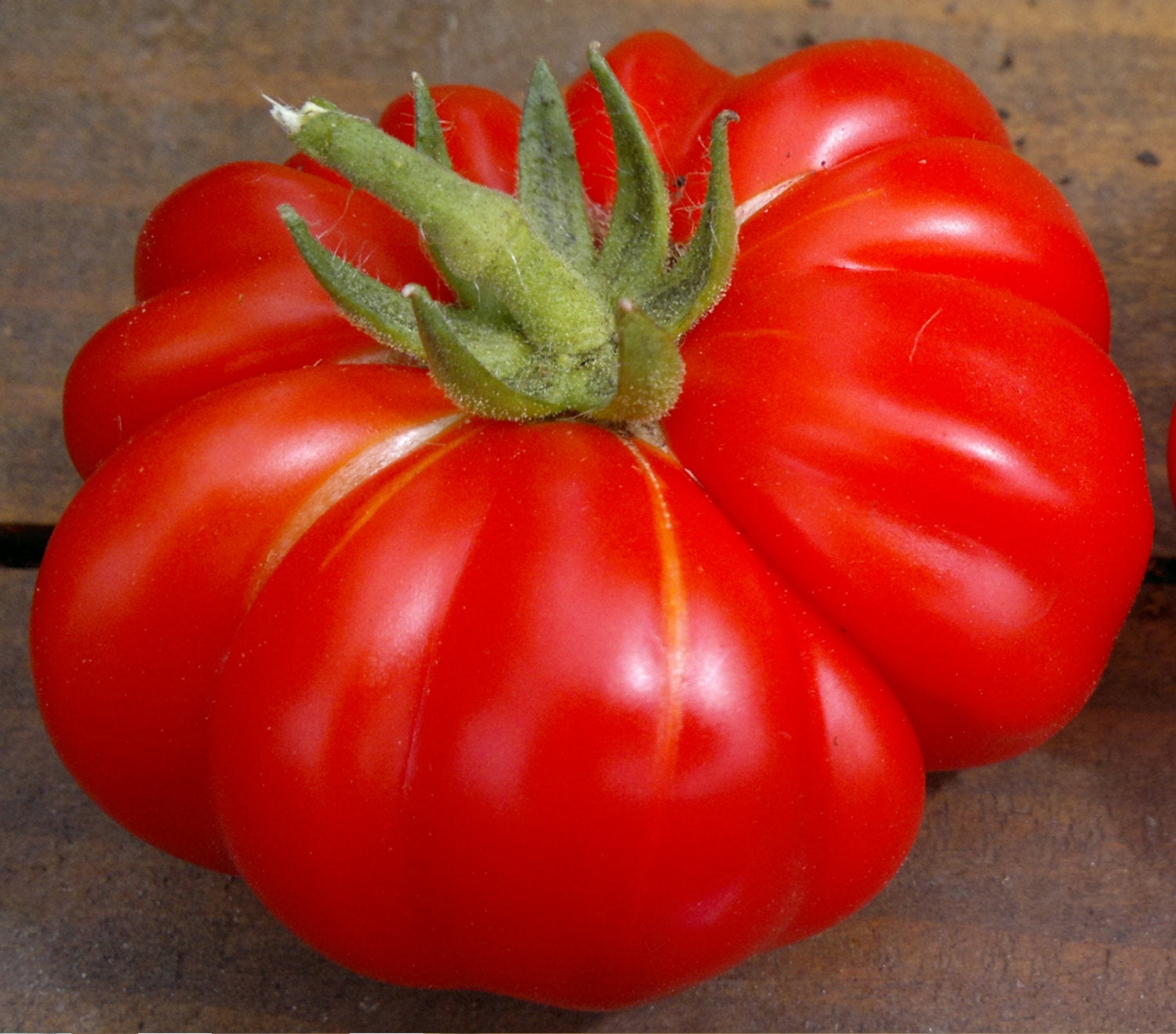 OSC Costoluto Genovese Tomato Seeds (Aimers International) - Packet