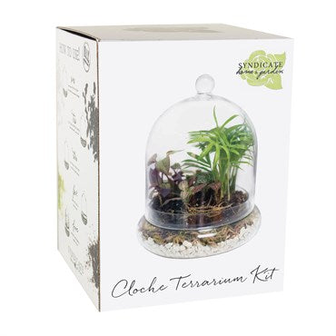 Syndicate Home & Garden Glass Cloches Terrarium Kit