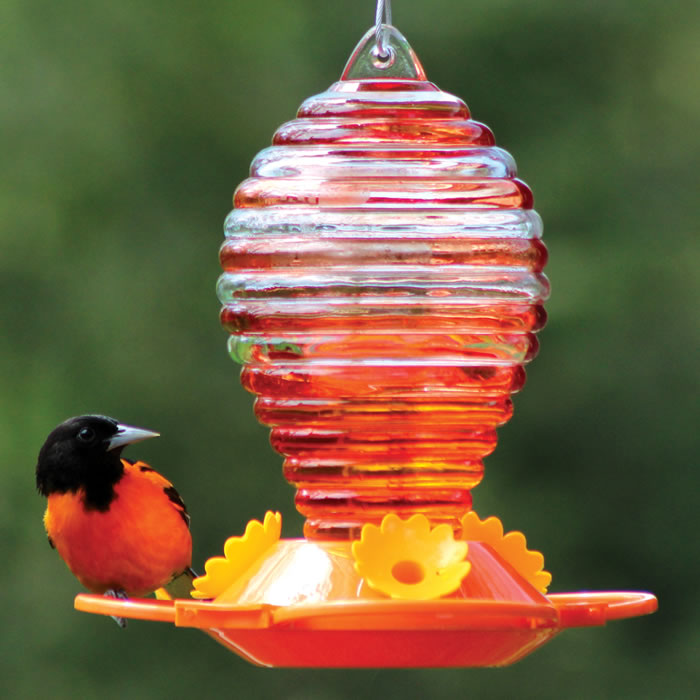 Pinebush Glass Oriole Feeder with Painted Rings