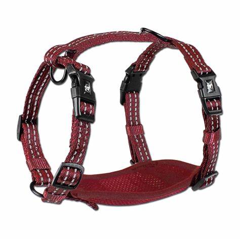 Adventure Harness - Small - Red