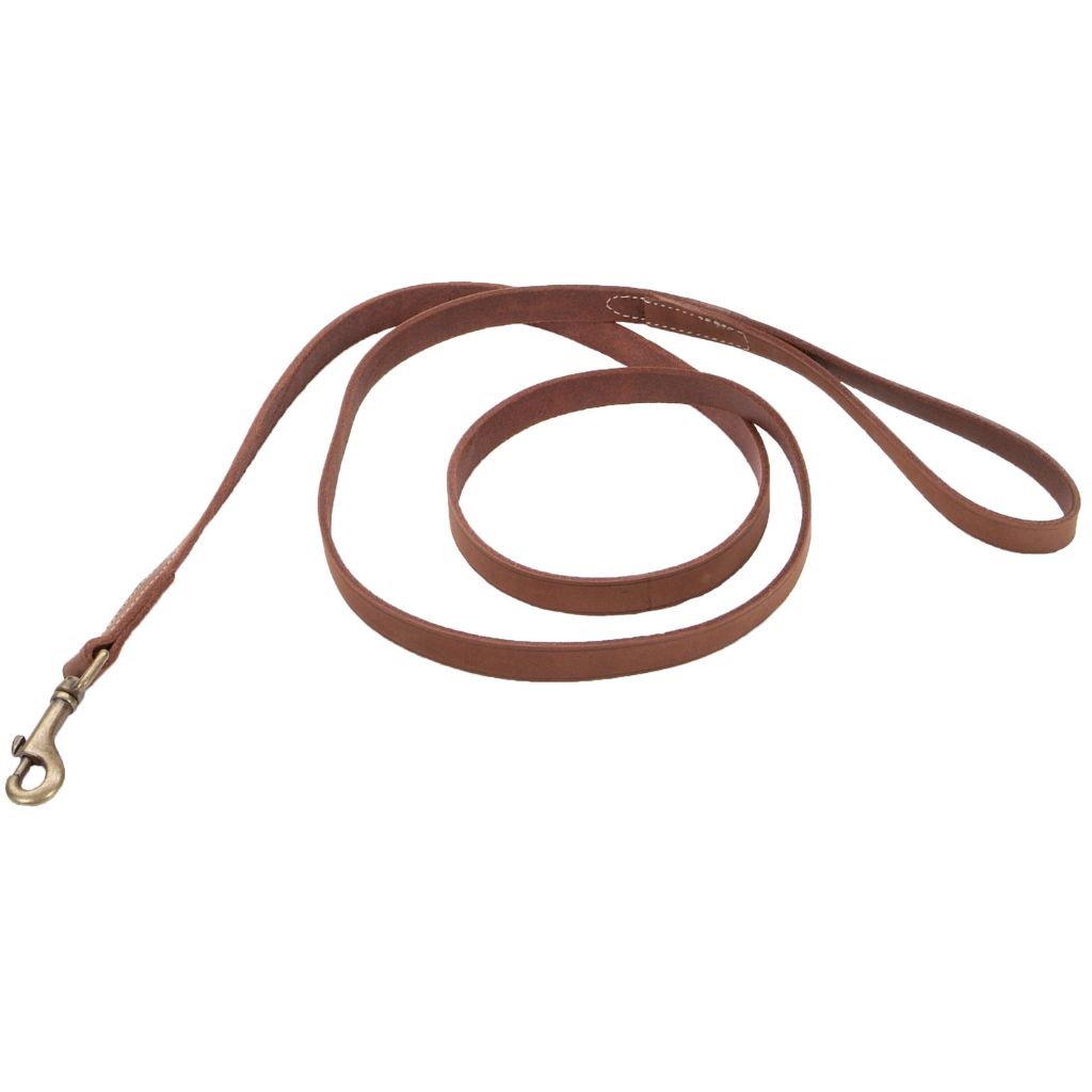 Rustic Leather Lead - Brown - 6' x 3/4