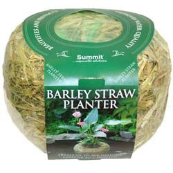 Summit Barley Straw Planter Mini - 3oz