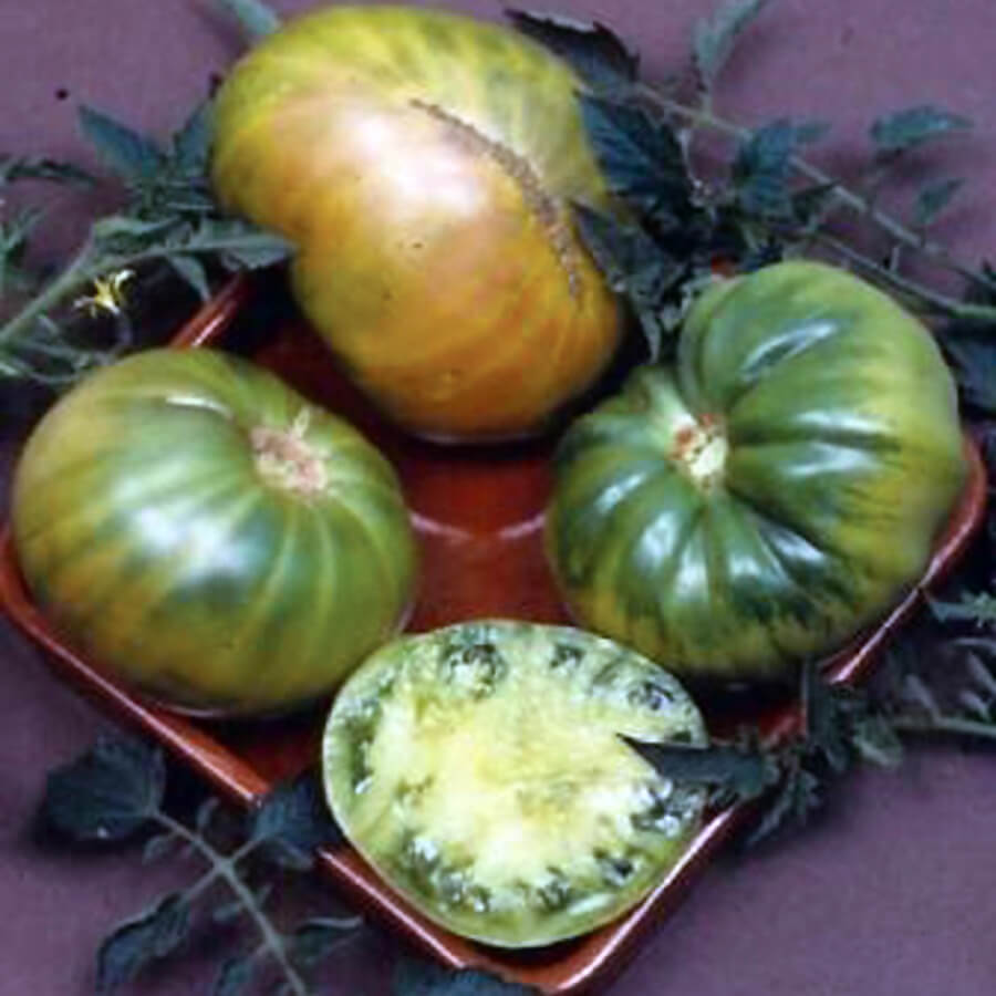 OSC Aunt Ruby’s German Green Tomato Seeds - Packet