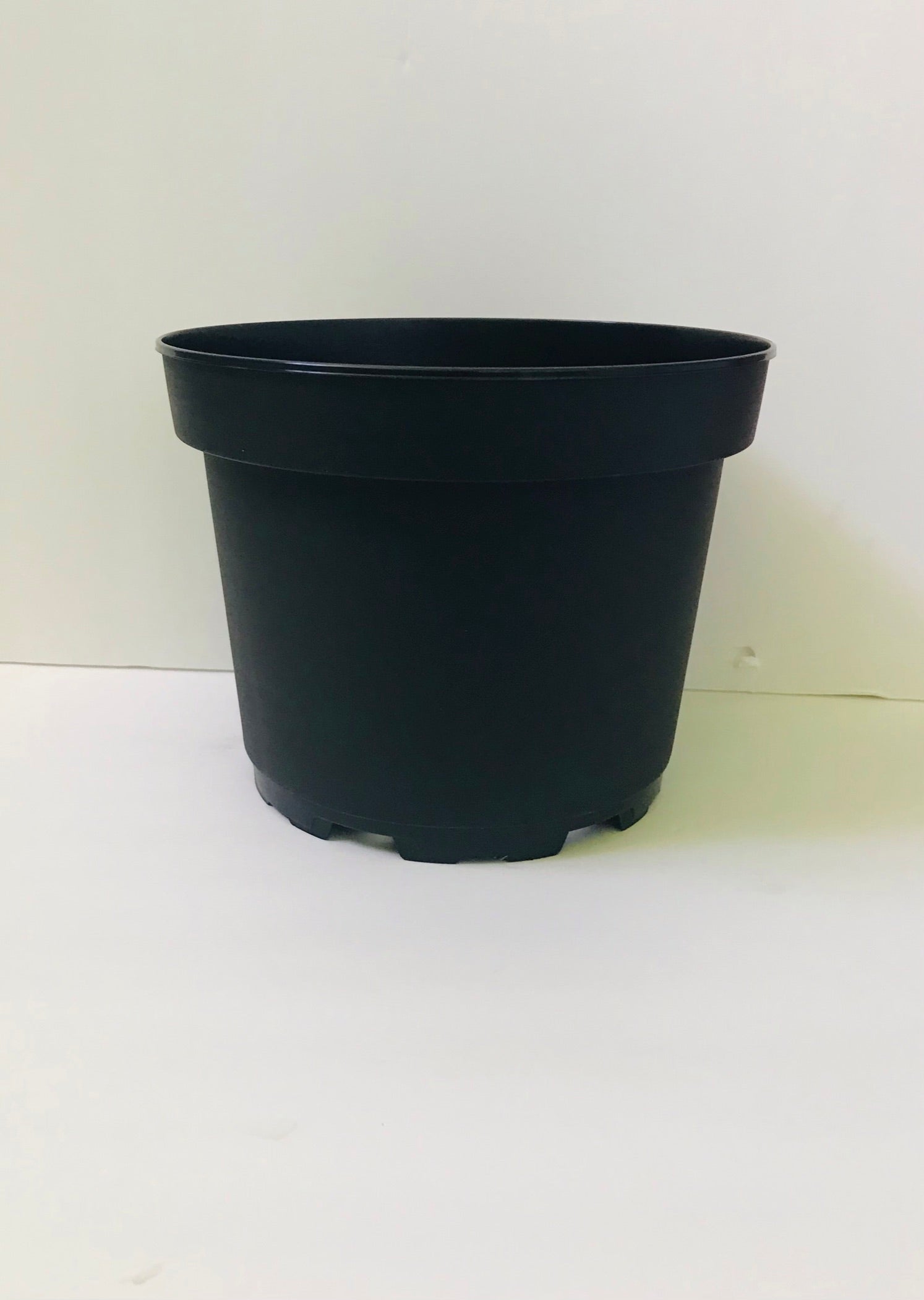 8" Azalea Plastic Nursery Pot - Black