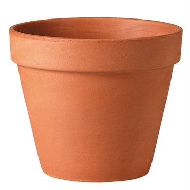 10" Terra Cotta Pot - Clay