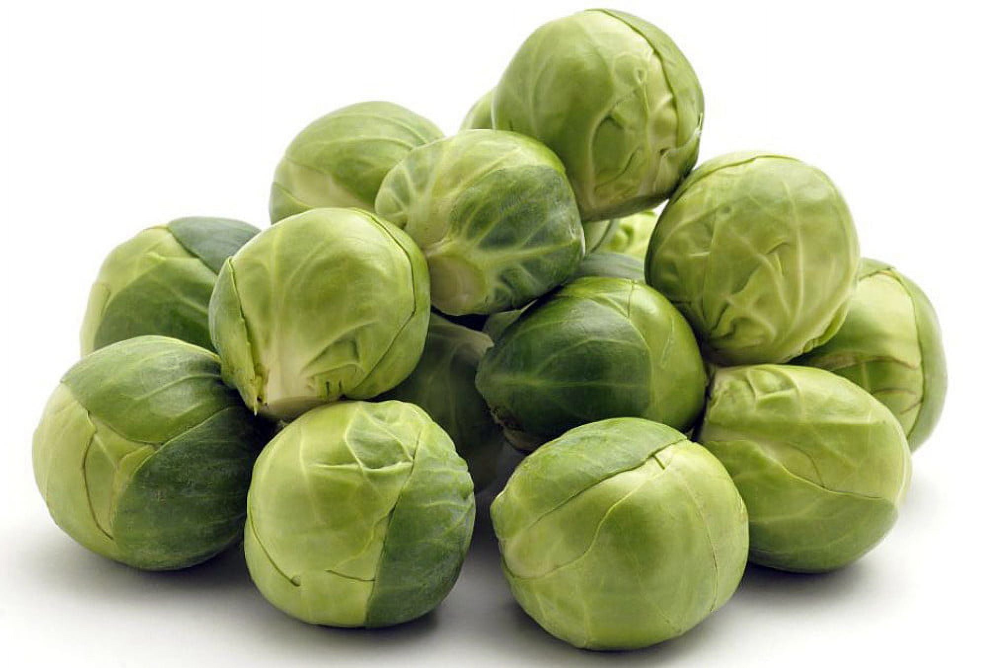 William Dam Brussels Sprouts, Jade Cross Hybrid - Packet