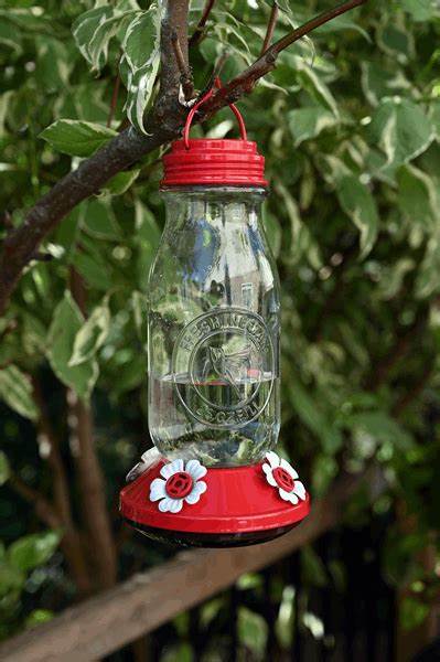 Pinebush Milk Jar Style Hummingbird Feeder - 25oz