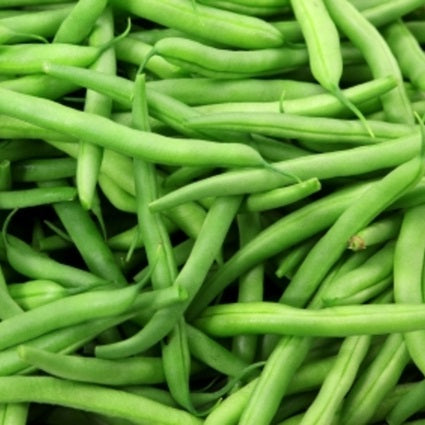 Aimers Tendergreen Organic Bush Bean Seeds - Packet