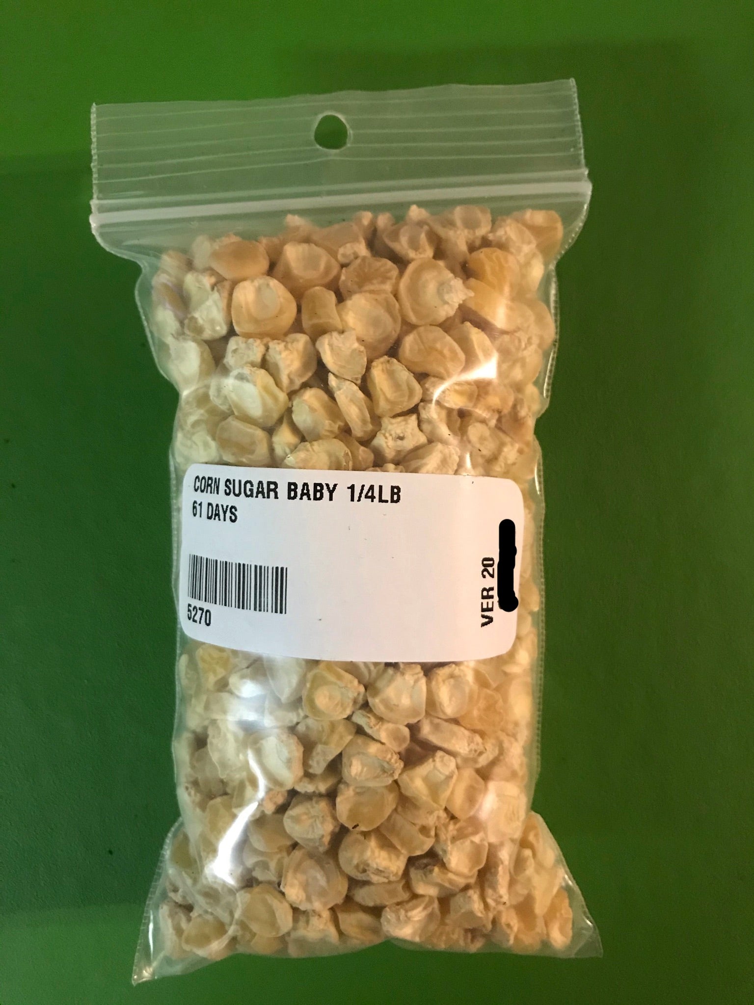 Sugar Baby Sweet Corn Seeds (61 Days) - 1/4 lb - Bulk