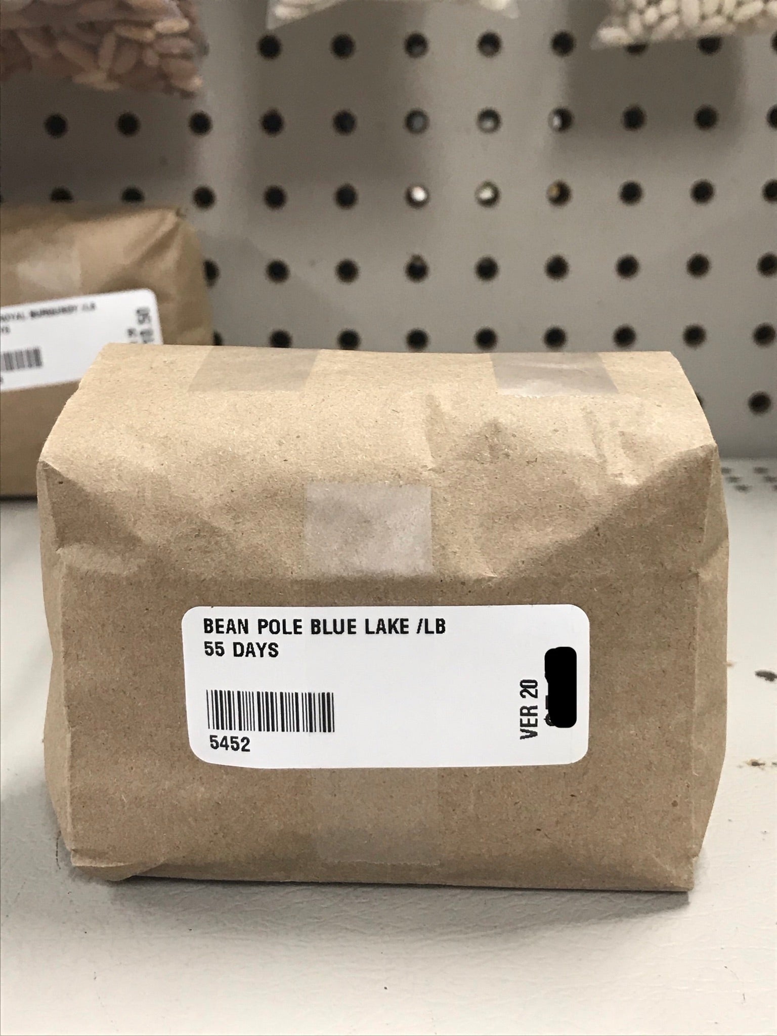 Blue Lake Pole Bean Seeds (55 Days) - 1lb - Bulk