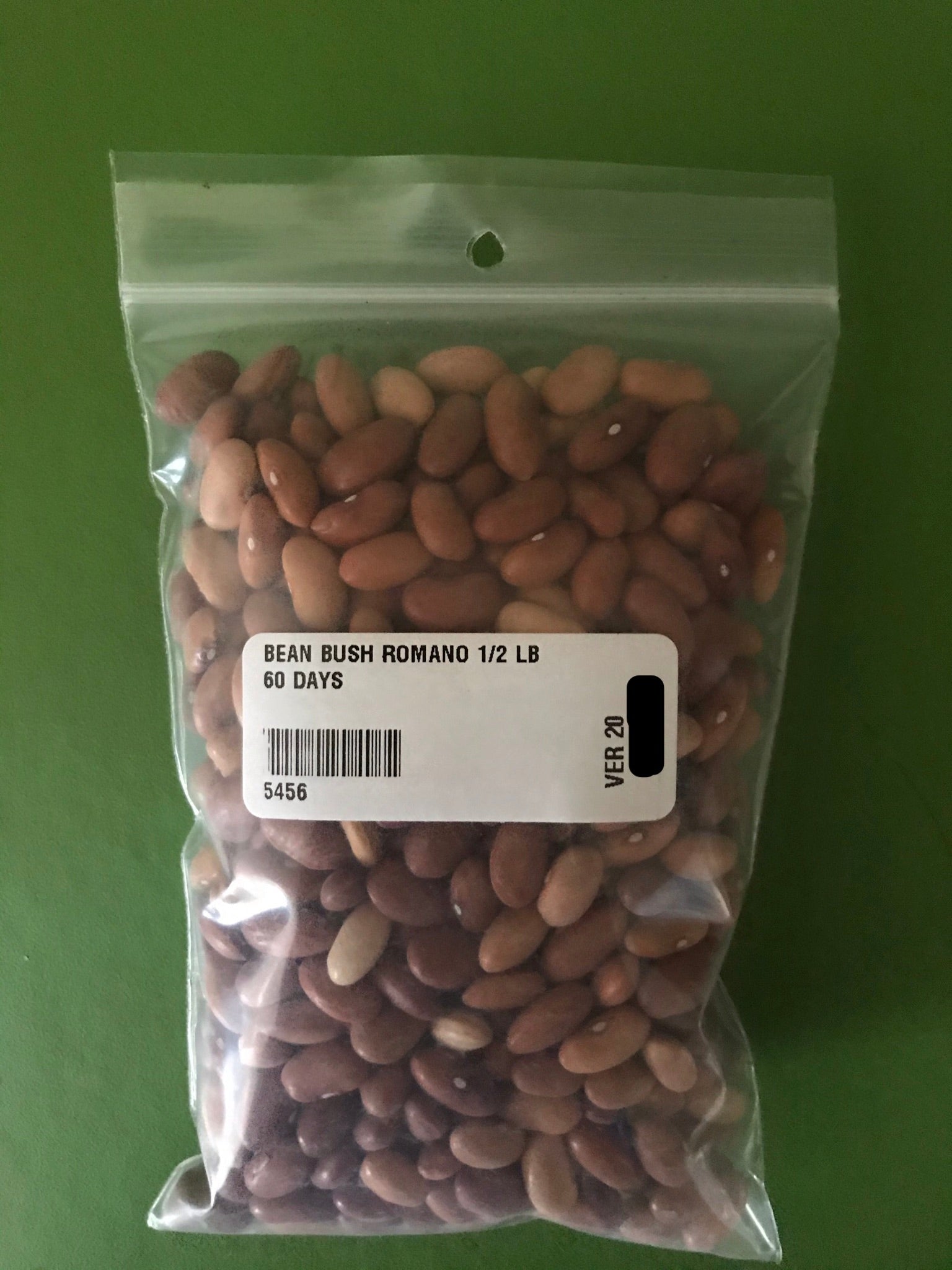 Romano No. 14 Bush Bean Seeds (60 Days) - 1/2 lb - Bulk