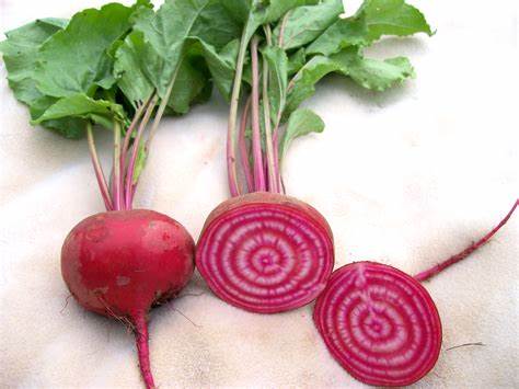 Aimers Organic Guardsmark Chioggia Beet Seeds - Packet