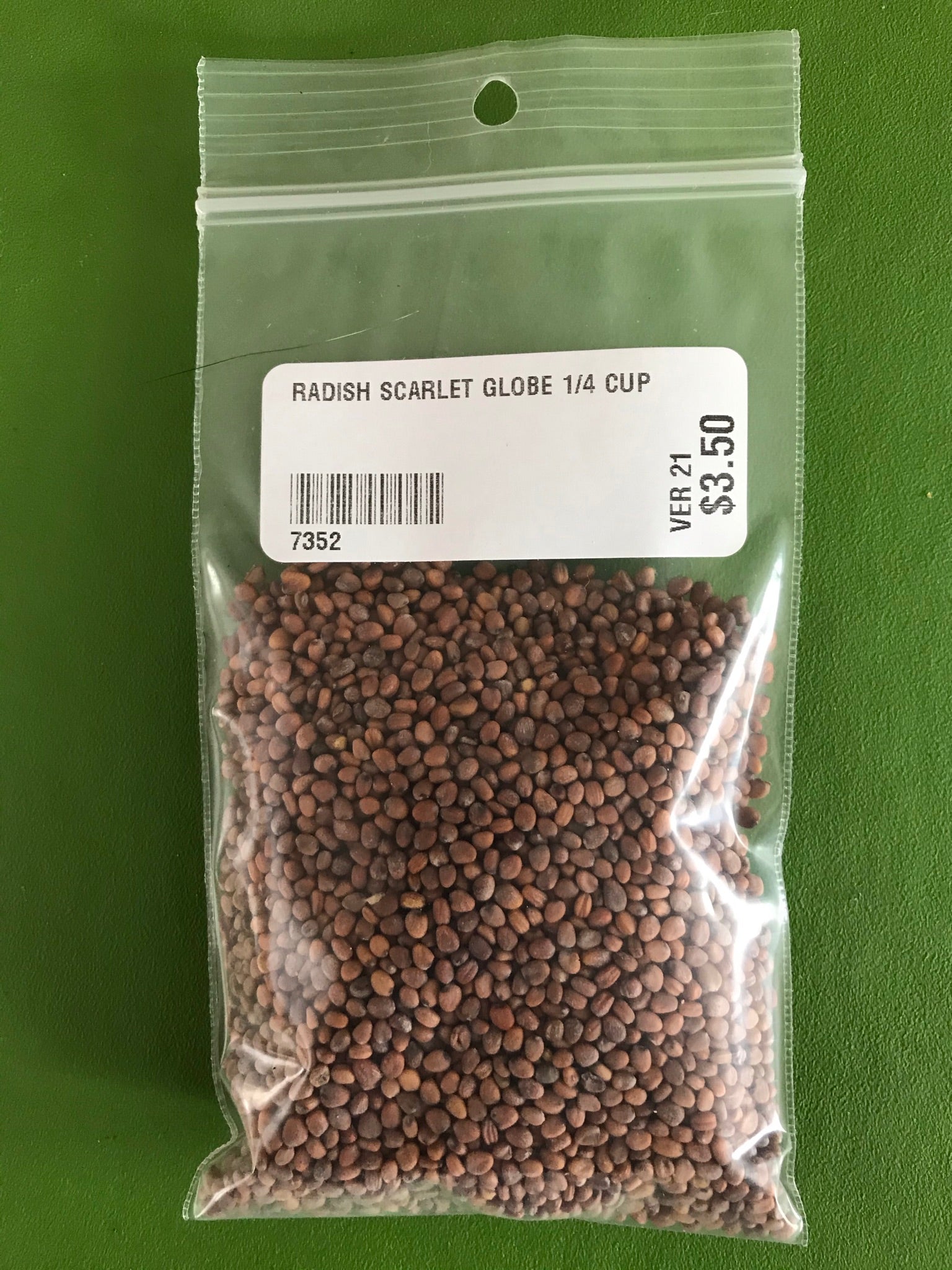 Scarlet Globe Radish Seeds (Summer Type) (24 days) - 1/4 Cup - Bulk