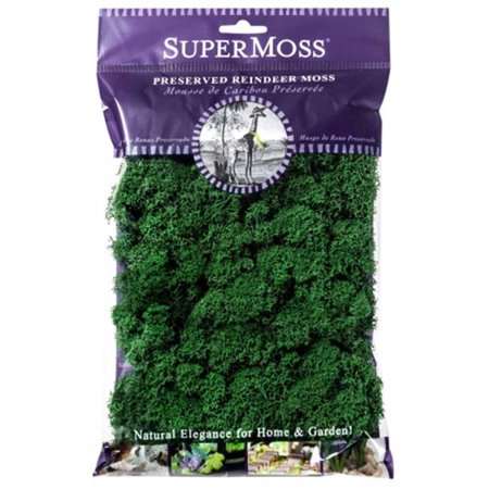 Super Moss Preserved Reindeer Moss - 2oz
